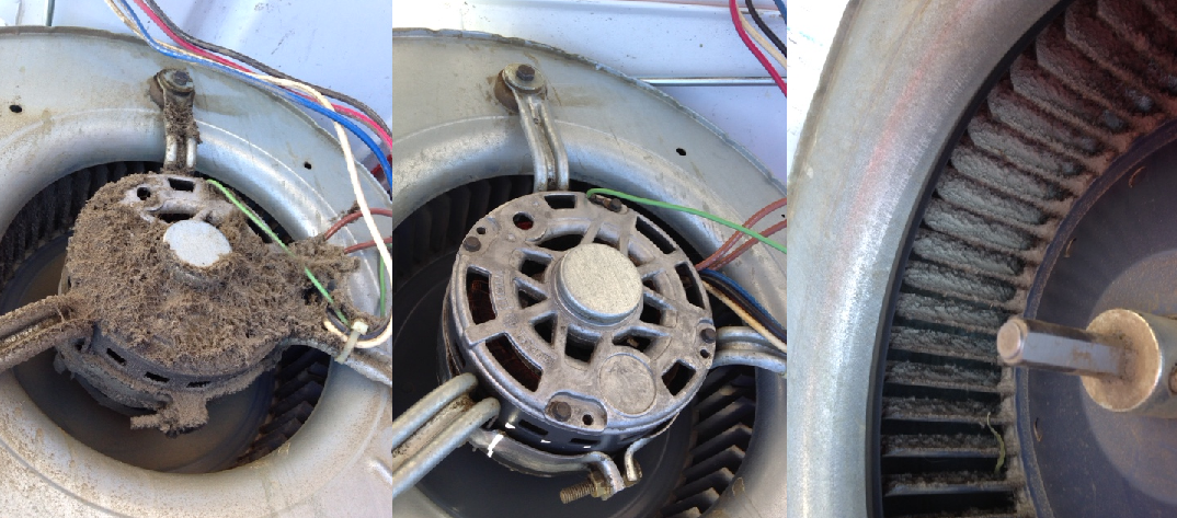 BLOWER-MOTOR-CLEAN
